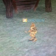 CHOSEN